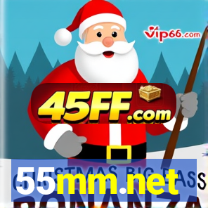 55mm.net