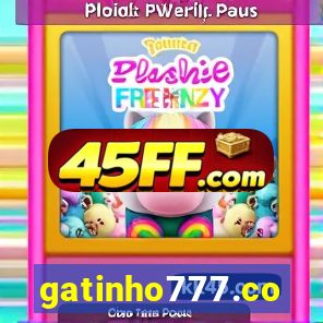 gatinho777.co