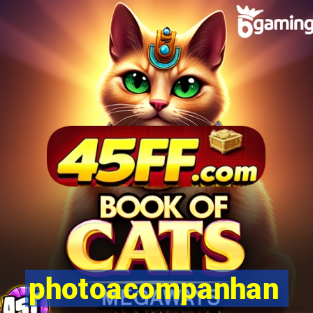 photoacompanhantestrans