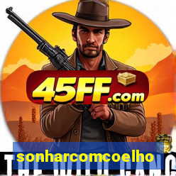 sonharcomcoelho
