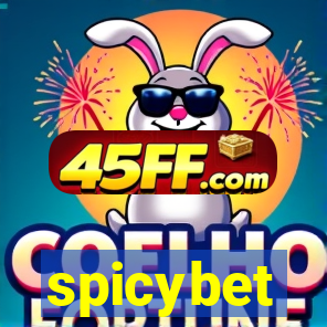 spicybet-2.com