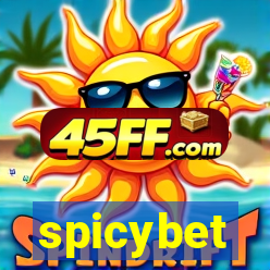 spicybet-2.com