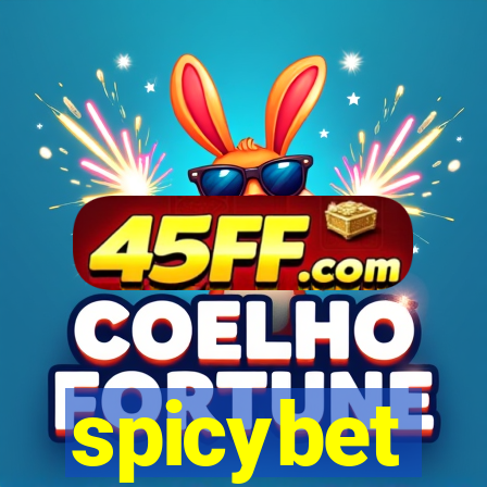 spicybet-4.com