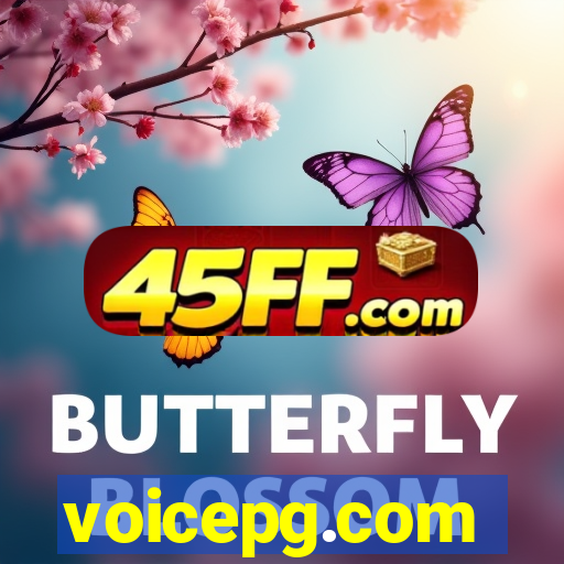 voicepg.com