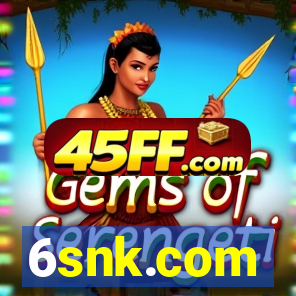6snk.com