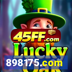 898175.com