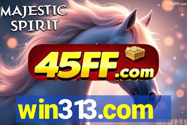 win313.com
