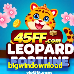 bigwindownload